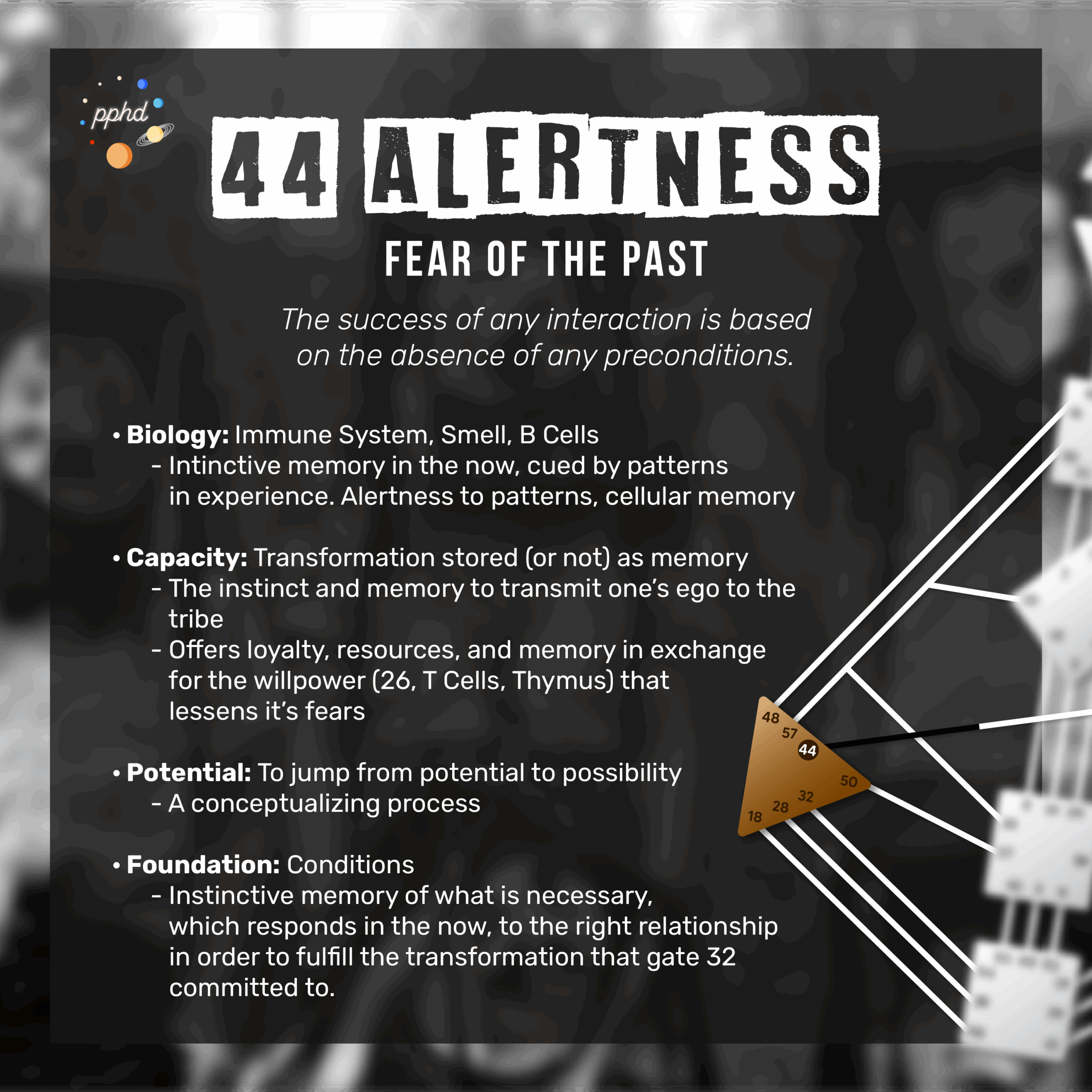 Gate 44 | Alertness